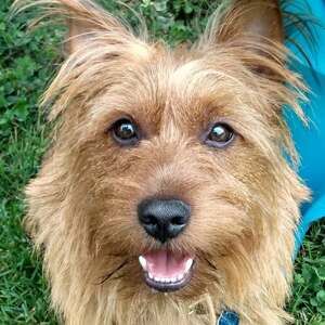 Meet your Posher, Charlottie